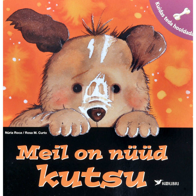 Rosa M. Curto, Núria Roca - Meil on nüüd kutsu. Kuidas teda hooldada