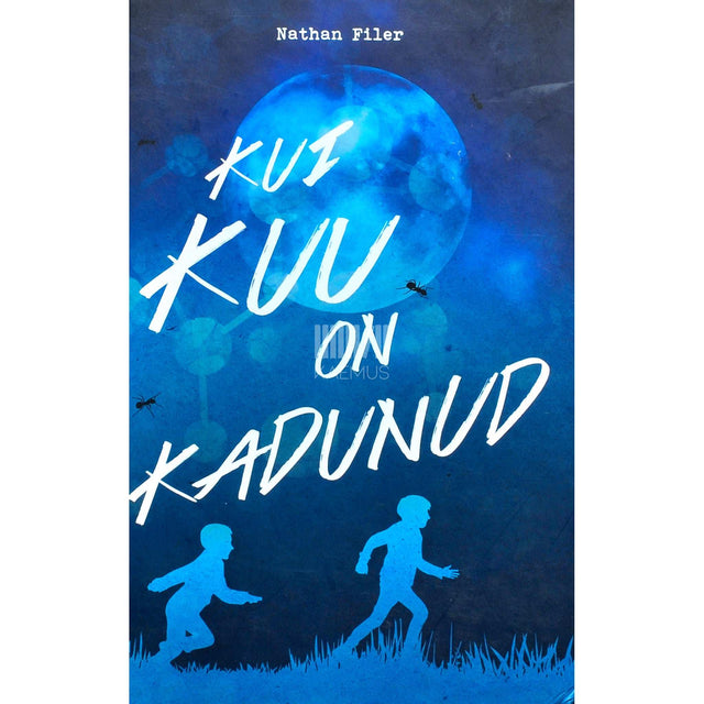 Nathan Filer - Kui kuu on kadunud