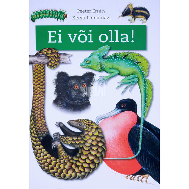 Peeter Ernits - Ei või olla!