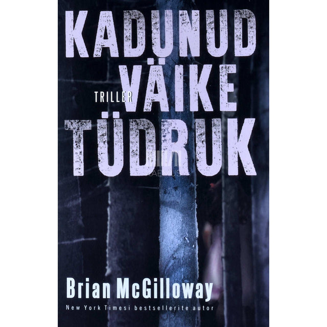 Brian McGilloway - Kadunud väike tüdruk