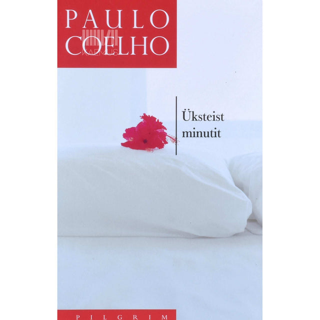 Paulo Coelho - Üksteist minutit