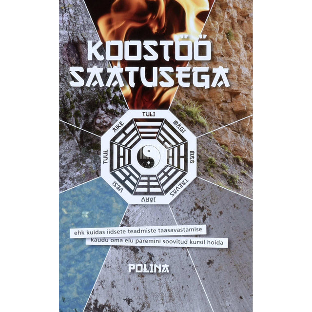 Polina - Koostöö saatusega