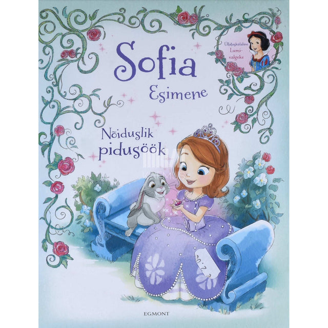 Cathy Hapka - Sofia Esimene. Nõiduslik pidusöök