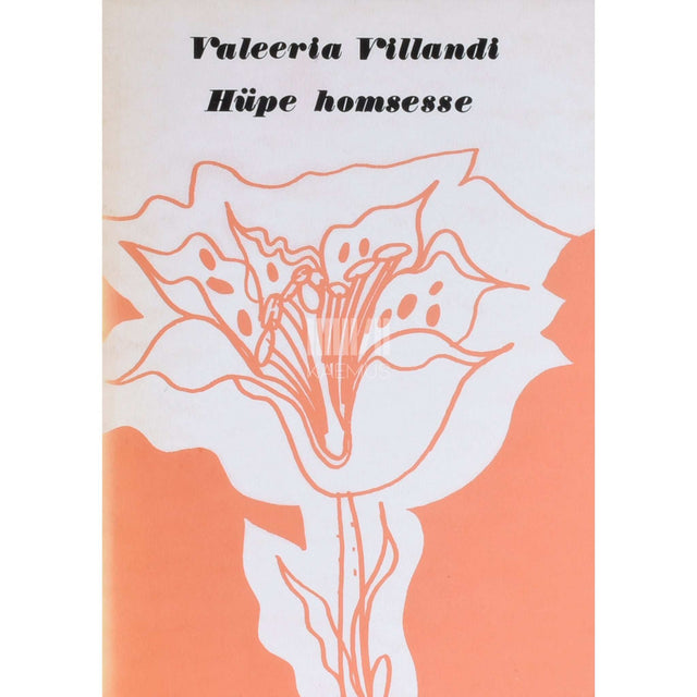 Valeeria Villandi - Hüpe homsesse. Luuletused. Keskmisele ja vanemale koolieale