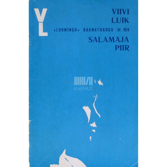 Viivi Luik - Salamaja piir