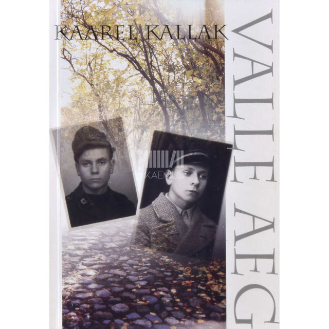 Kaarel Kallak - Valle aeg. Maailm ja mõnda