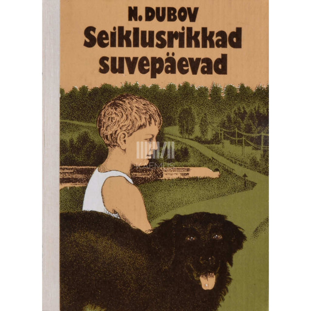 Nikolai Dubov - Seiklusrikkad suvepäevad