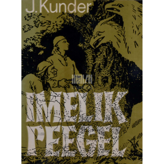 Juhan Kunder - Imelik peegel. Muinasjutud. Nooremale ja keskmisele koolieale