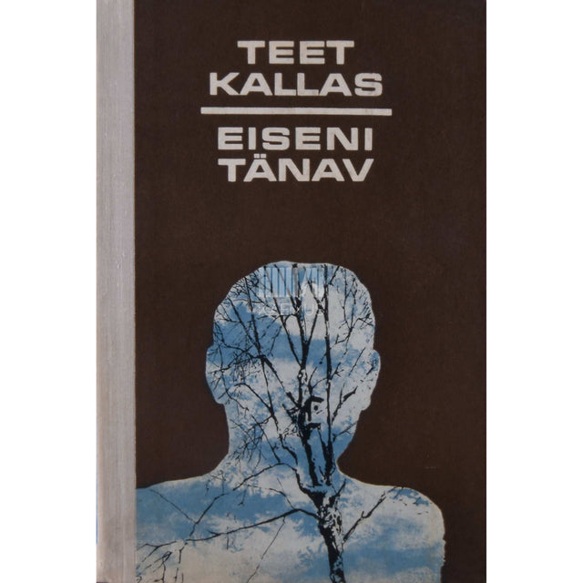 Teet Kallas - Eiseni tänav
