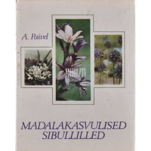 Aino Paivel - Madalakasvulised sibullilled
