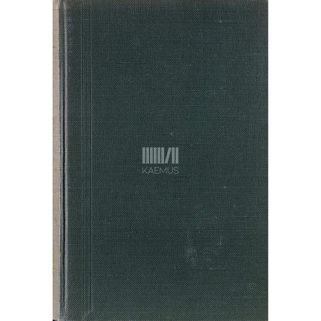 Arvo Mägi - Kiusaja