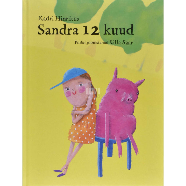 Kadri Hinrikus - Sandra 12 kuud