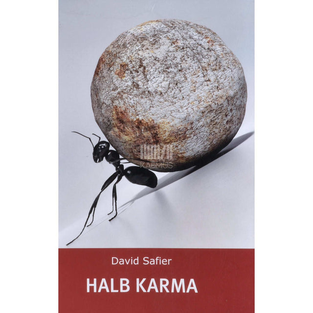 David Safier - Halb karma