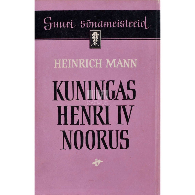 Heinrich Mann - Kuningas Henri IV noorus