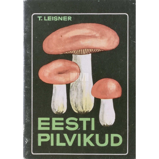 Tõnis Leisner - Eesti pilvikud