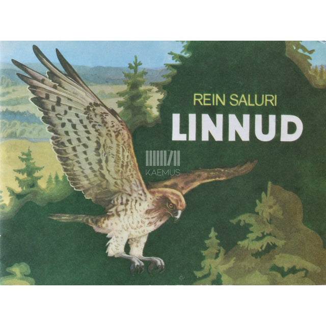 Rein Saluri - Linnud