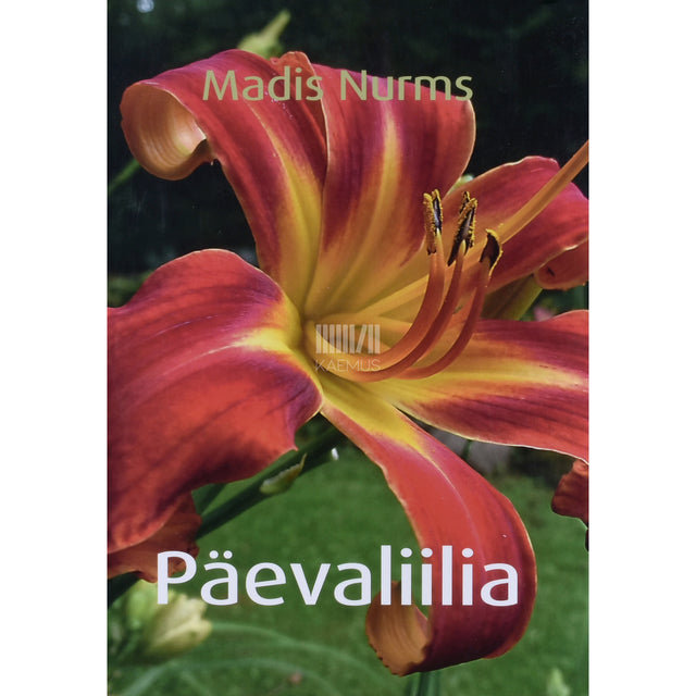 Madis Nurms. Päevaliilia