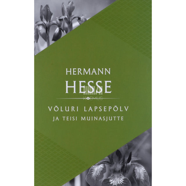 Hermann Hesse. Võluri lapsepõlv ja teisi muinasjutte