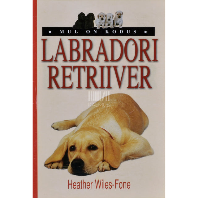 Heather Wiles-Fone. Mul on kodus labradori retriiver
