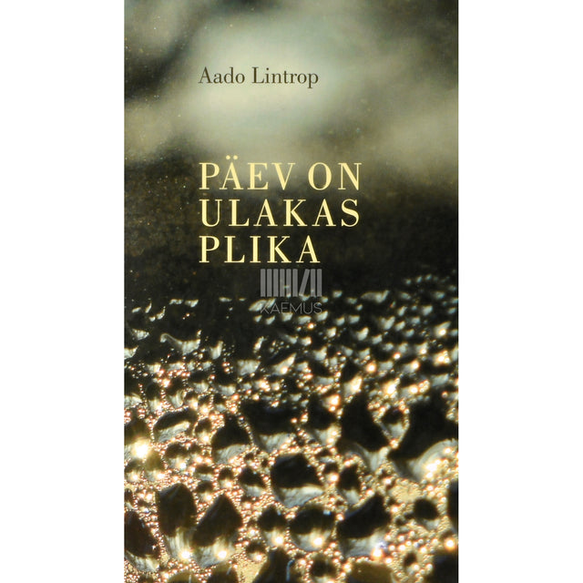 Aado Lintrop. Päev on ulakas plika