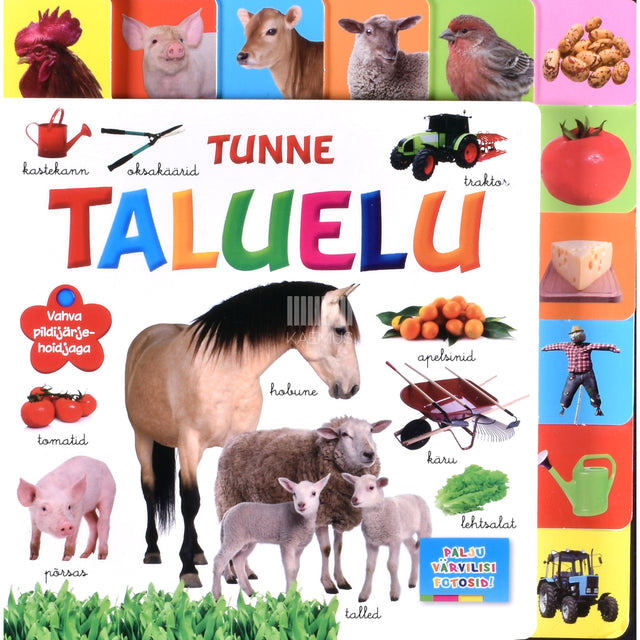Tunne taluelu