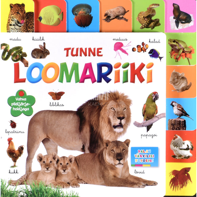 Tunne loomariiki