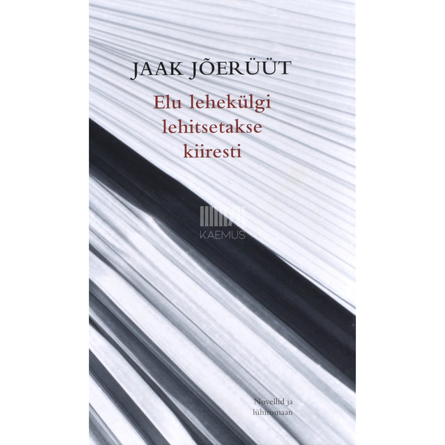 Jaak Jõerüüt. Elu lehekülgi lehitsetakse kiiresti