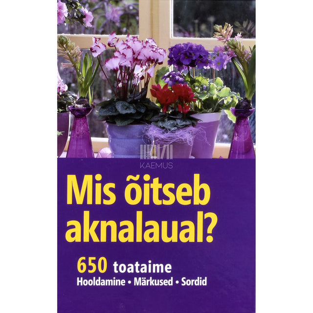 Mis õitseb aknalaual?