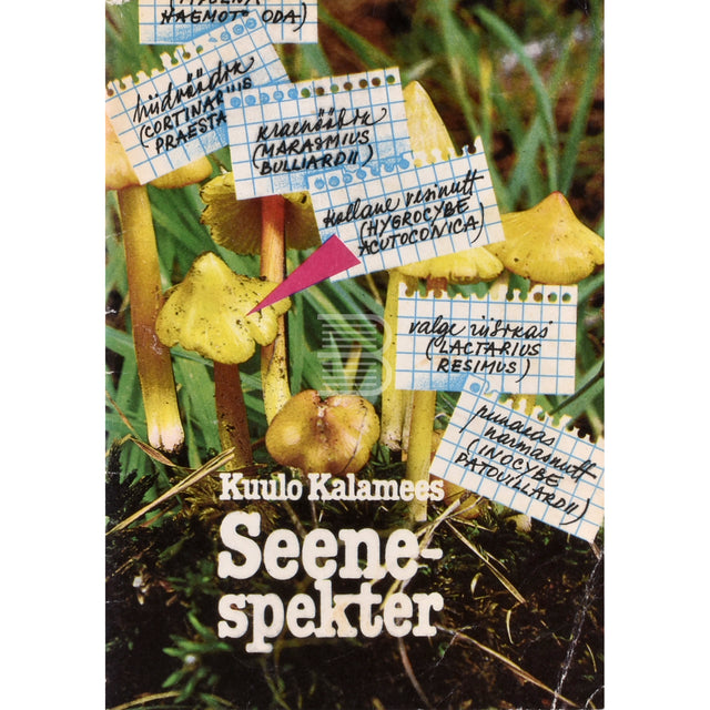 Kuulo Kalamees. Seenespekter