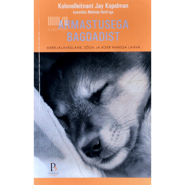 Jay Kopelman - Armastusega Bagdadist. Merejalaväelane, sõda ja koer nimega Laava