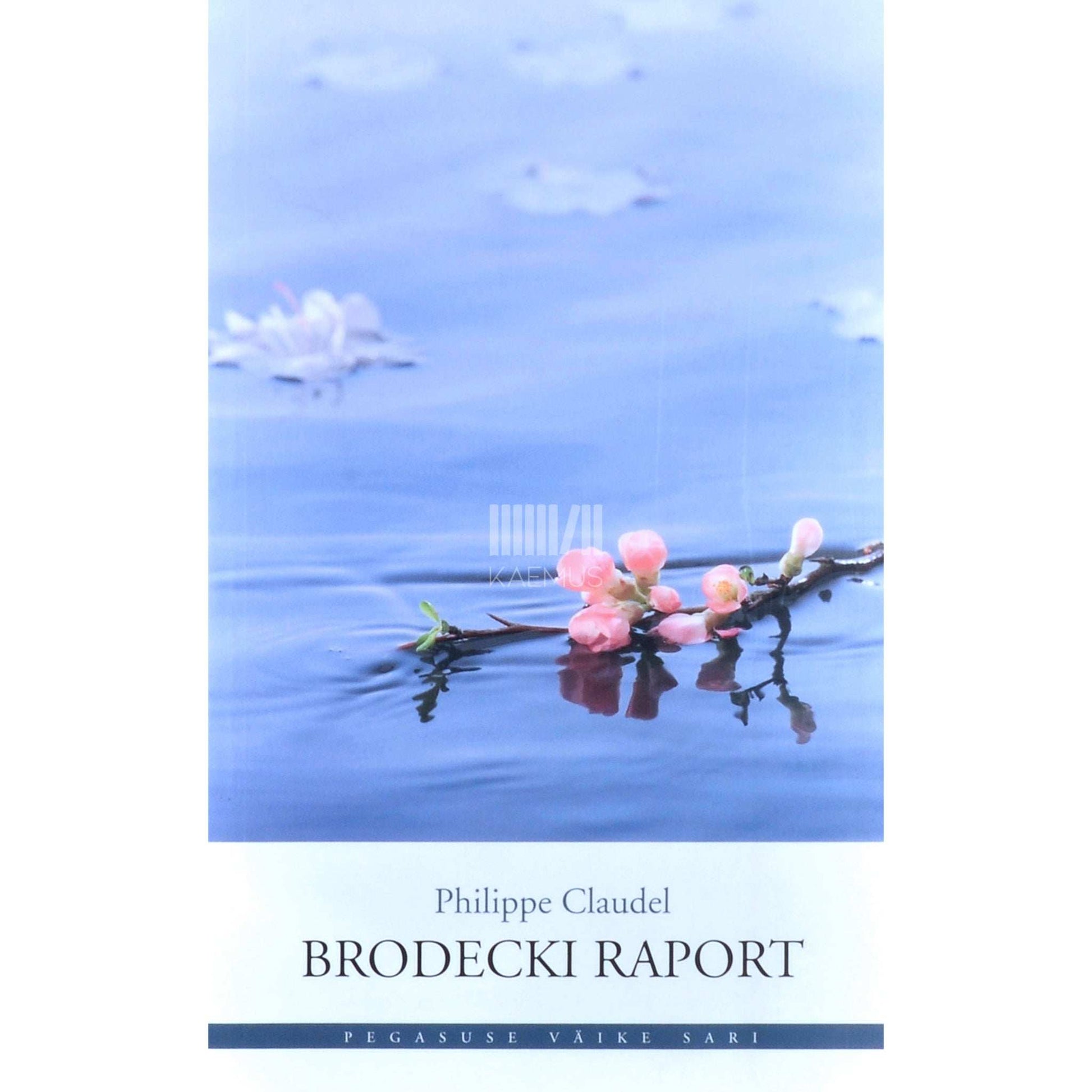 Philippe Claudel - Brodecki raport