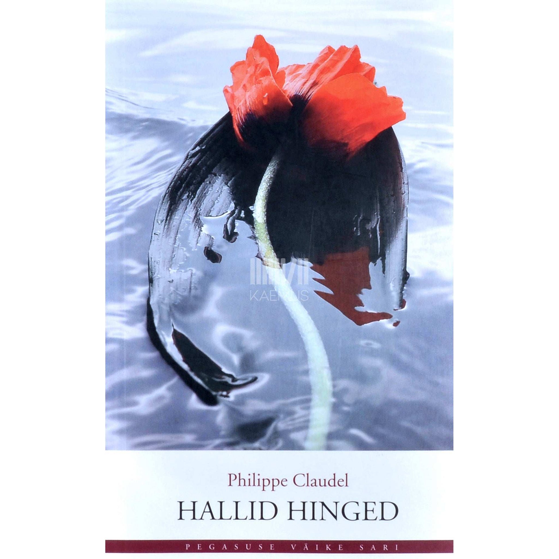Philippe Claudel - Hallid hinged