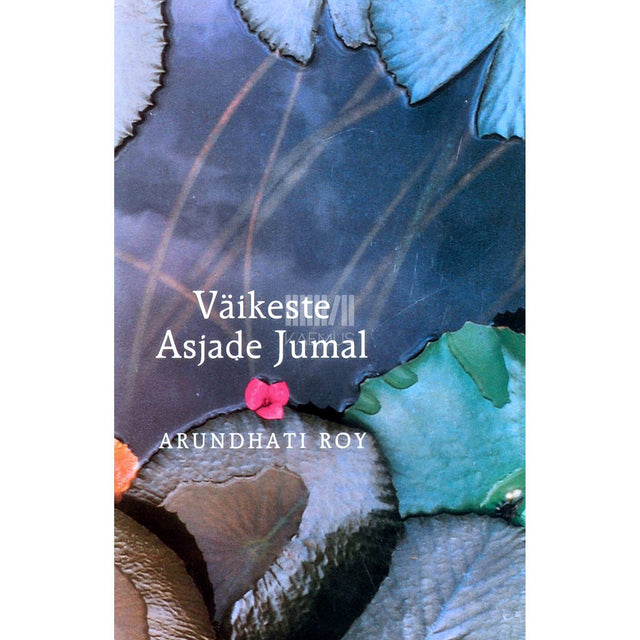 Arundhati Roy - Väikeste asjade jumal