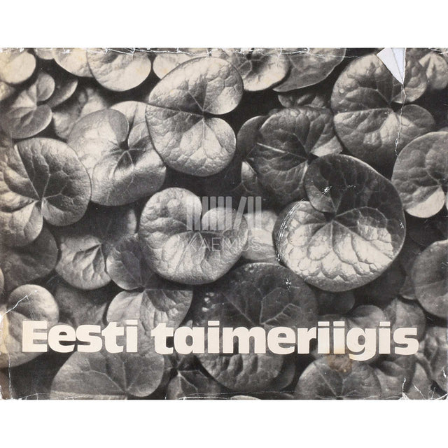 Haide-Ene Rebassoo - Eesti taimeriigis. Fotoalbum