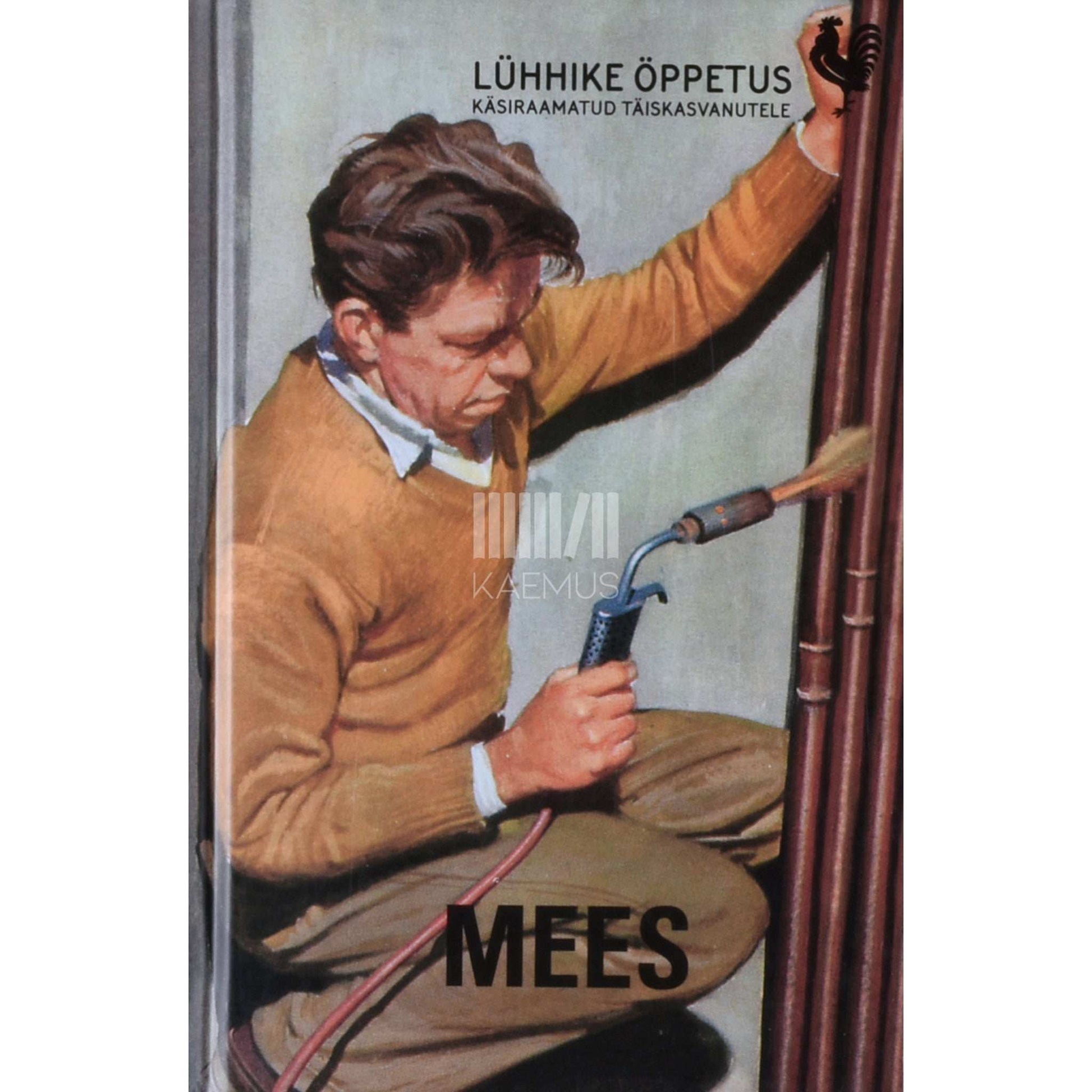 J. A. Hazeley, J. P. Morris - Mees. Käsiraamat täiskasvanutele
