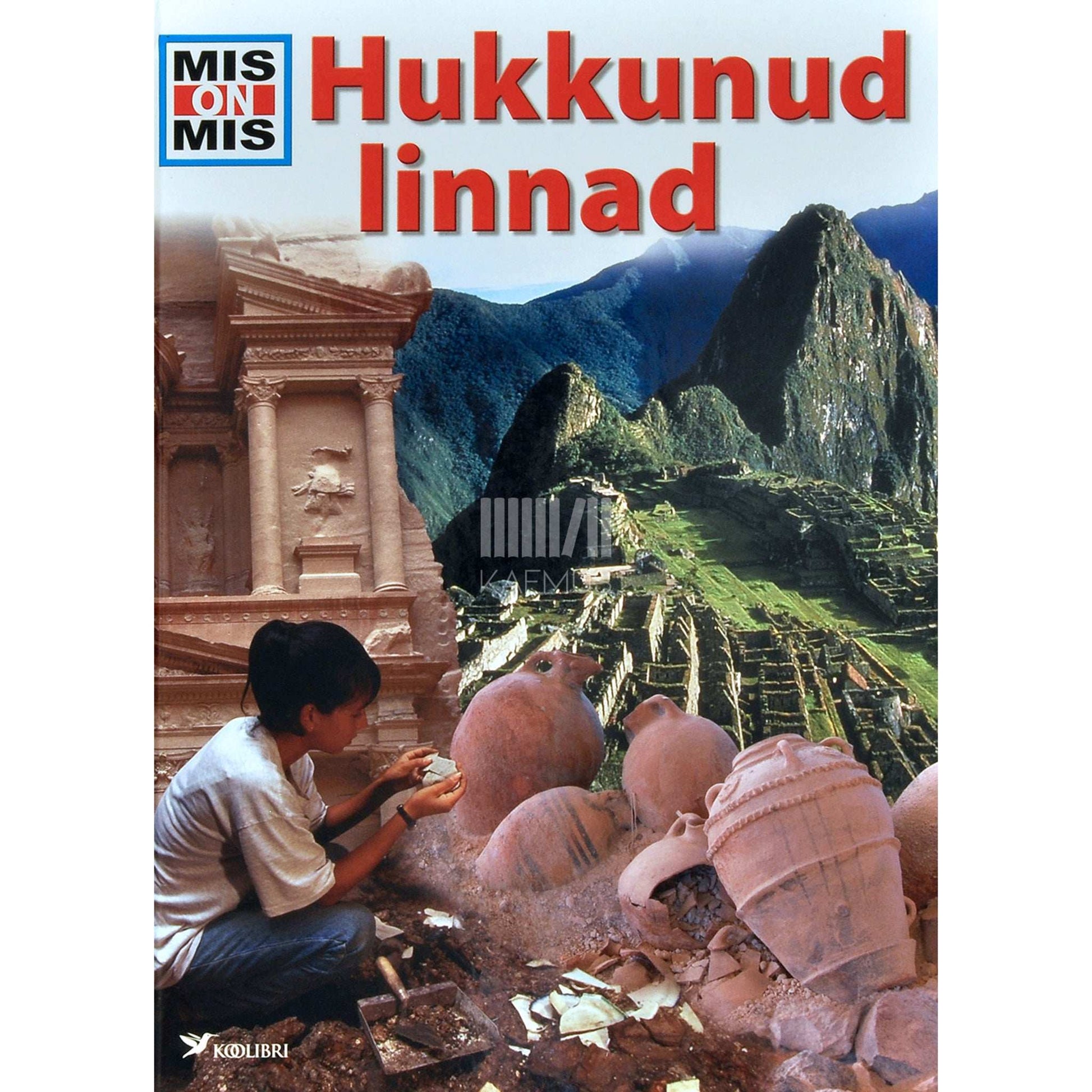 Rainer Crummenerl - Hukkunud linnad