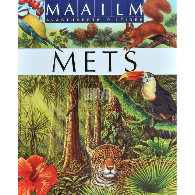 ... - Mets ...