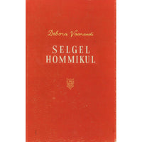 Debora Vaarandi Selgel hommikul