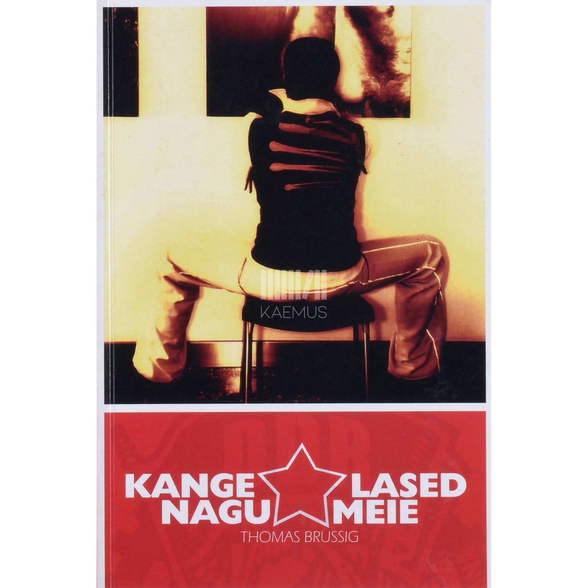 Thomas Brussig - Kangelased nagu meie