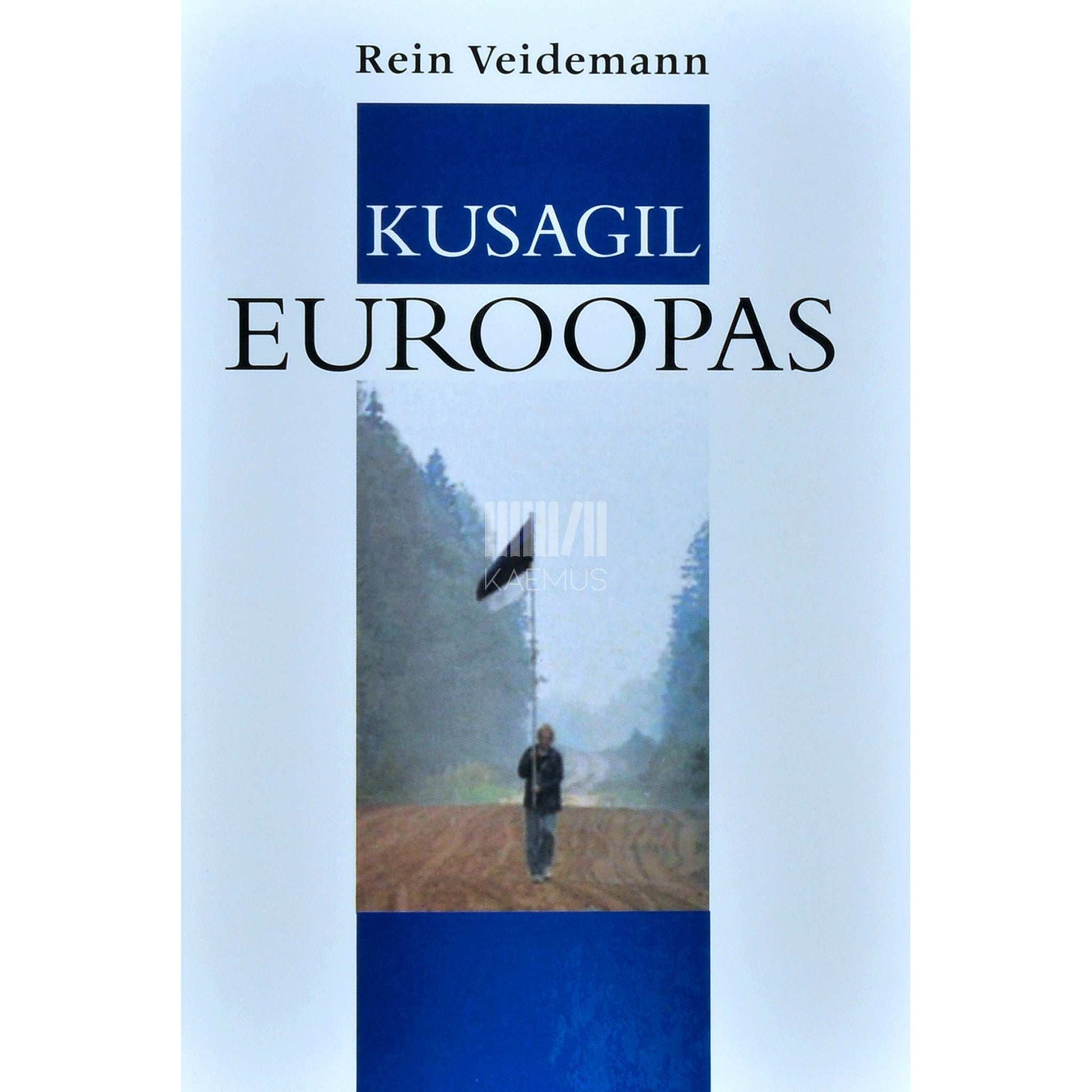 Rein Veidemann - Kusagil Euroopas. Esseid
