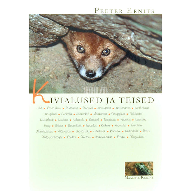 Peeter Ernits - Kivialused ja teised