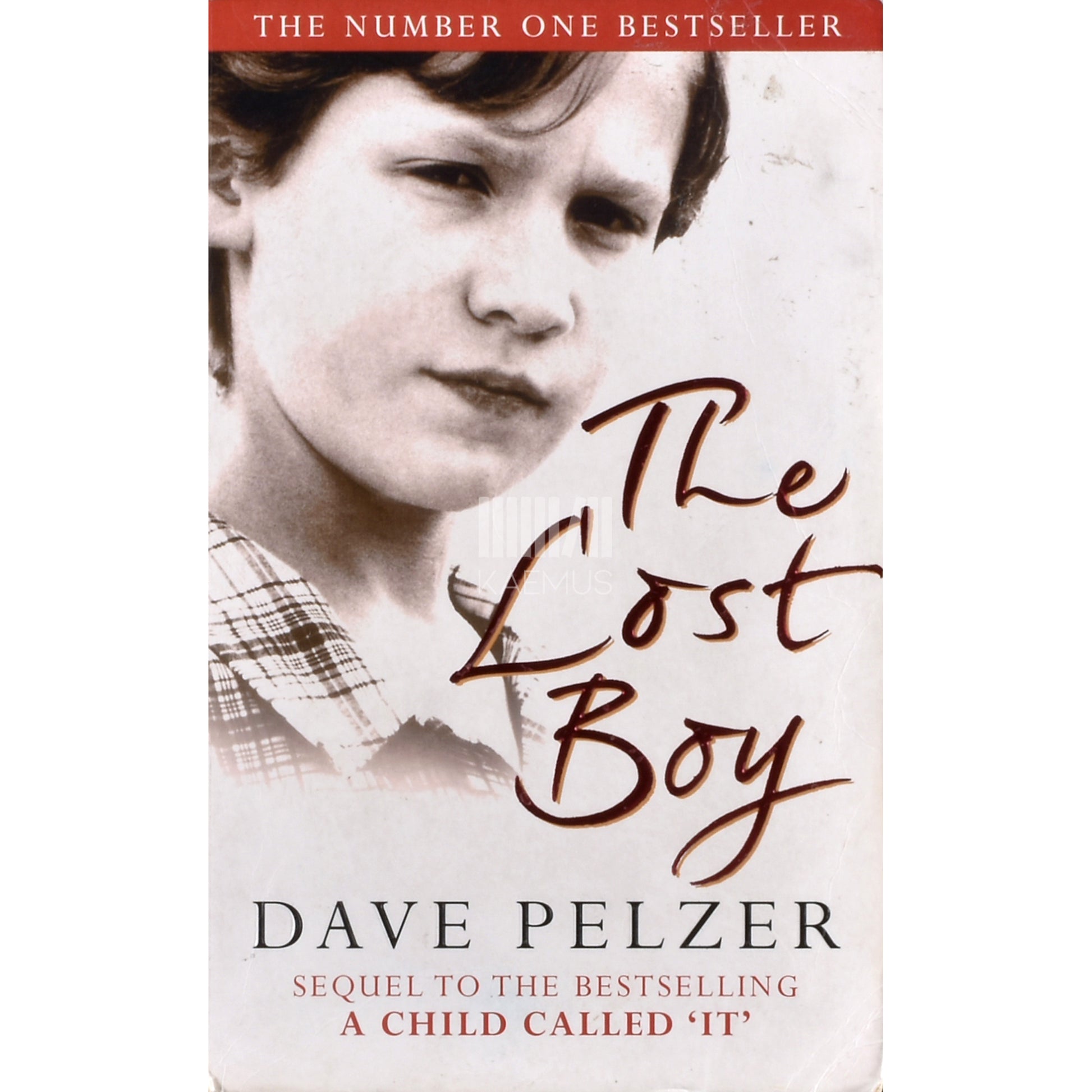 Dave Pelzer. The Lost Boy