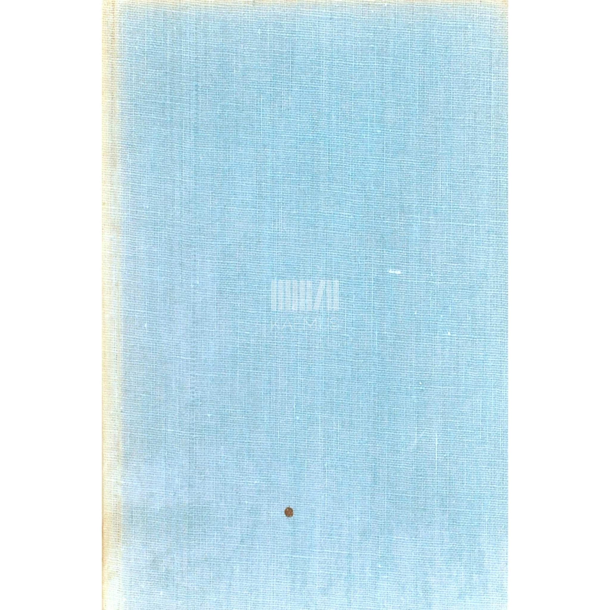 Arvo Mägi - Uputus