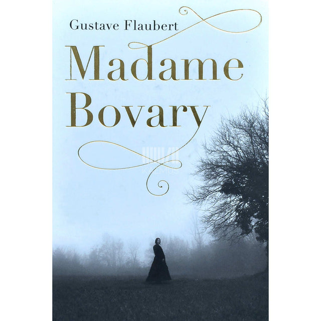 Gustave Flaubert - Madame Bovary