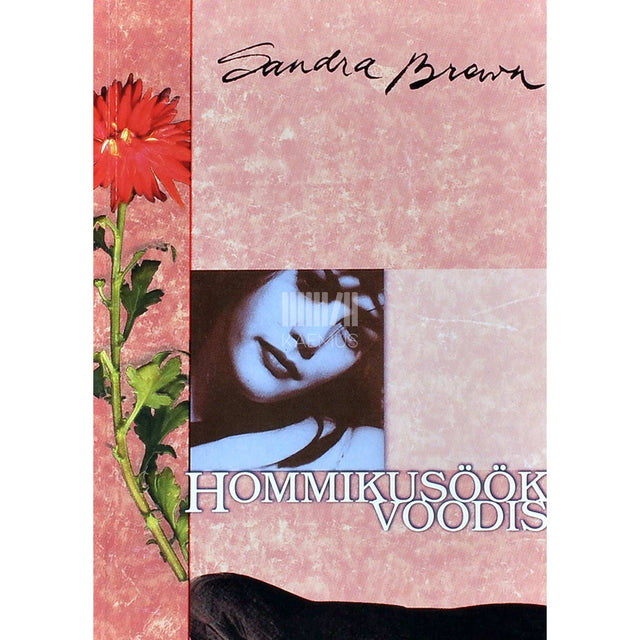 Sandra Brown - Hommikusöök voodis