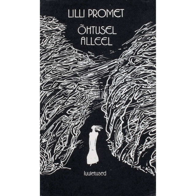Lilli Promet - Õhtusel alleel