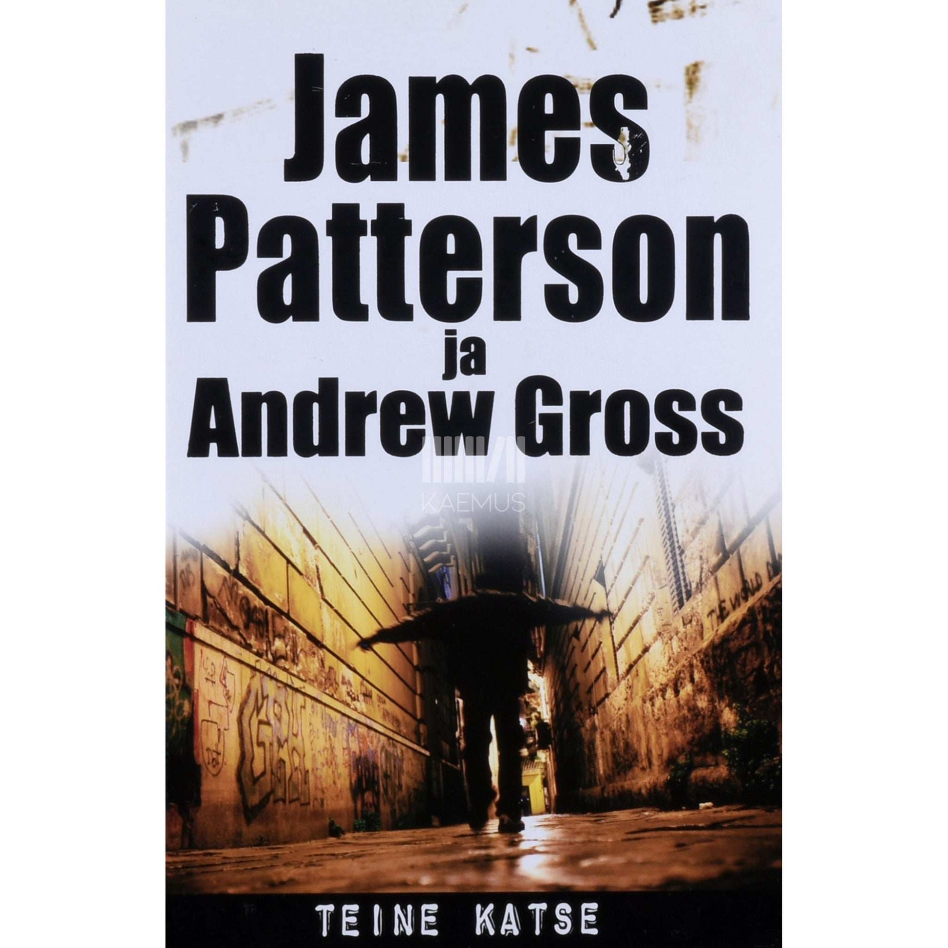 Andrew Gross, James Patterson - Teine katse