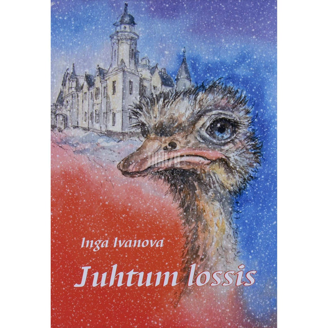 Inga Ivanova - Juhtum lossis. Kunagi jõuluajal Alatskivi lossis aset leidnud juhtum