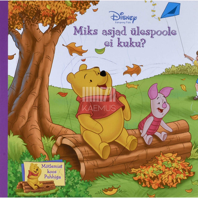 Sheryl Berk - Miks asjad ülespoole ei kuku?