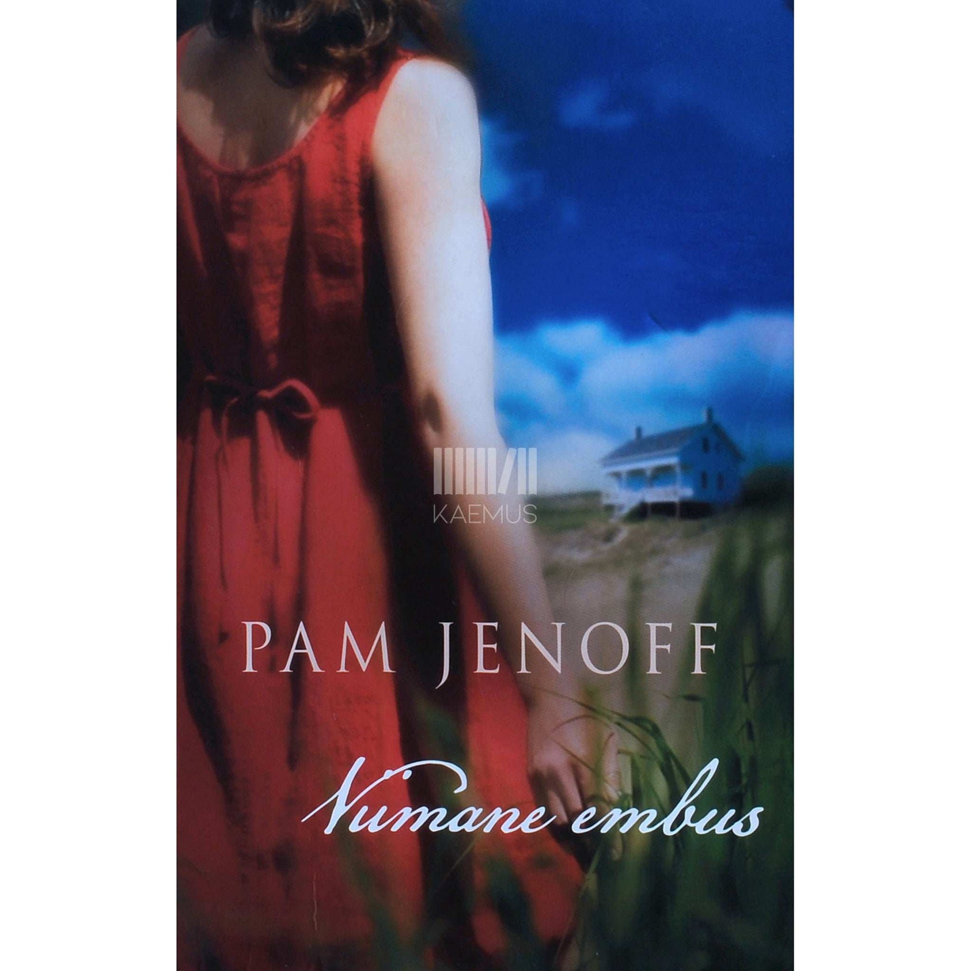 Pam Jenoff - Viimane embus
